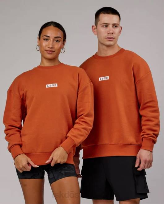 Z8RH414 LSKD unisex Cornerstone-Pullover in Übergröße – Auburn Bekleidung