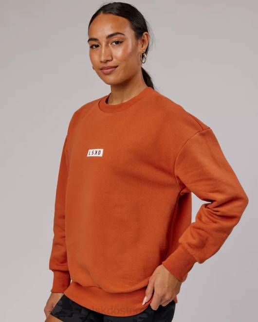 Z8RH414 LSKD unisex Cornerstone-Pullover in Übergröße – Auburn Bekleidung